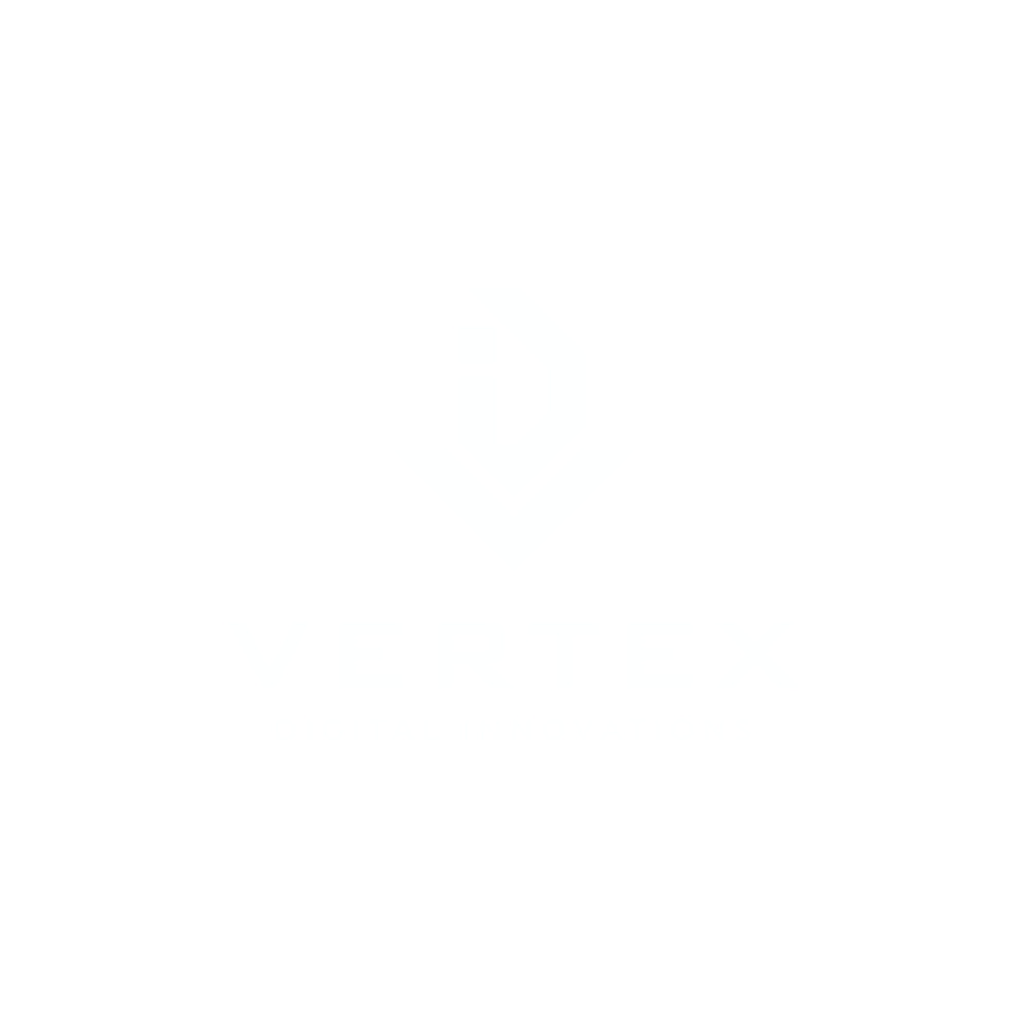 Vertex Digital Innovations
